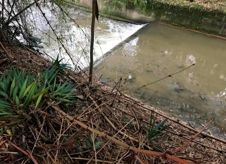 Cuerpo de un hombre fue hallado flotando en la quebrada La Ayurá, en Envigado 