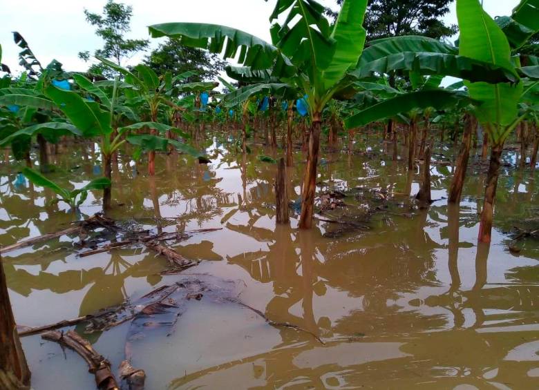 Los habitantes de cuatro veredas se vieron afectados con las inundacionnes provocadas por las fuertes lluvias. FOTO CORTESÍA 