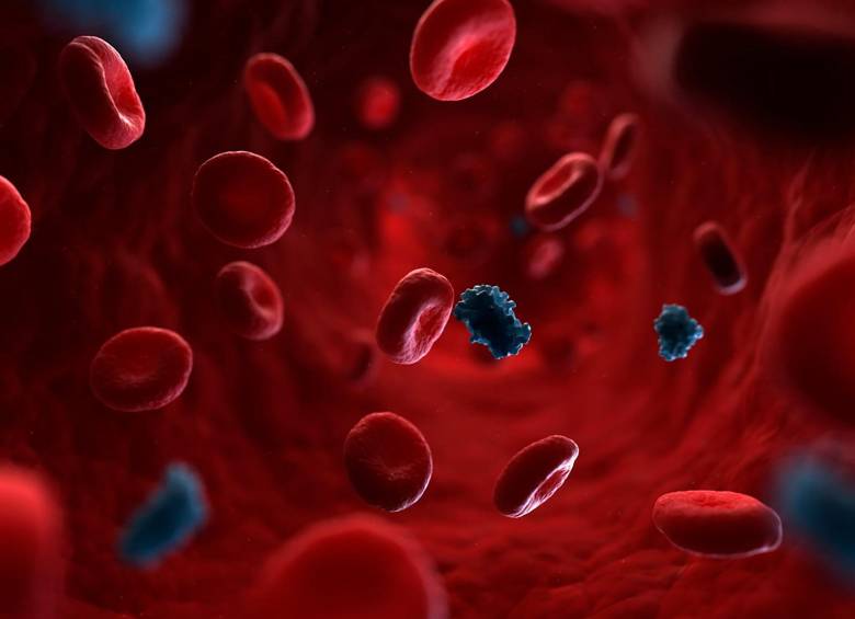 La insulina es una hormona encargada de regular los niveles de glucosa en la sangre y evitar enfermedades como la diabetes. Foto: Getty