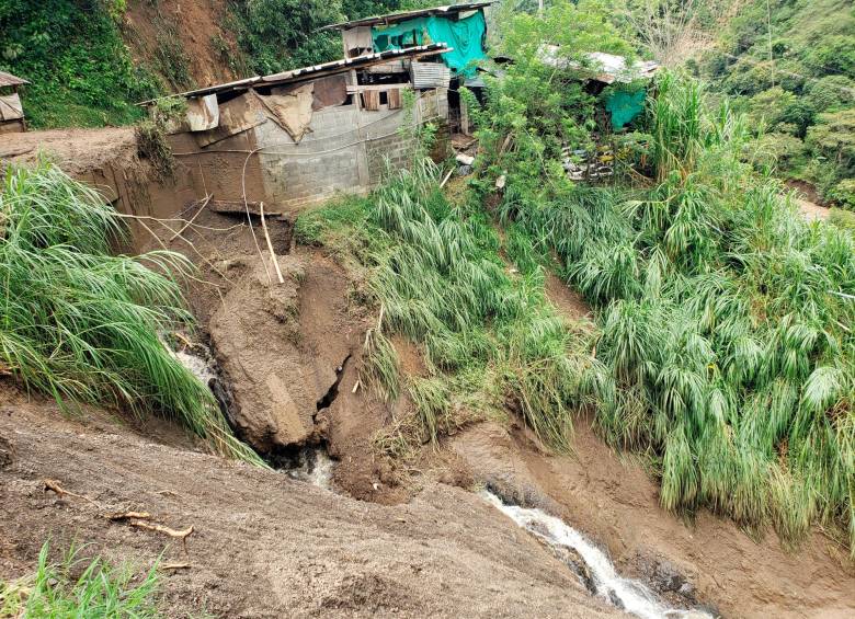 Peque pide donaciones para ayudar a 375 familias damnificadas por las lluvias