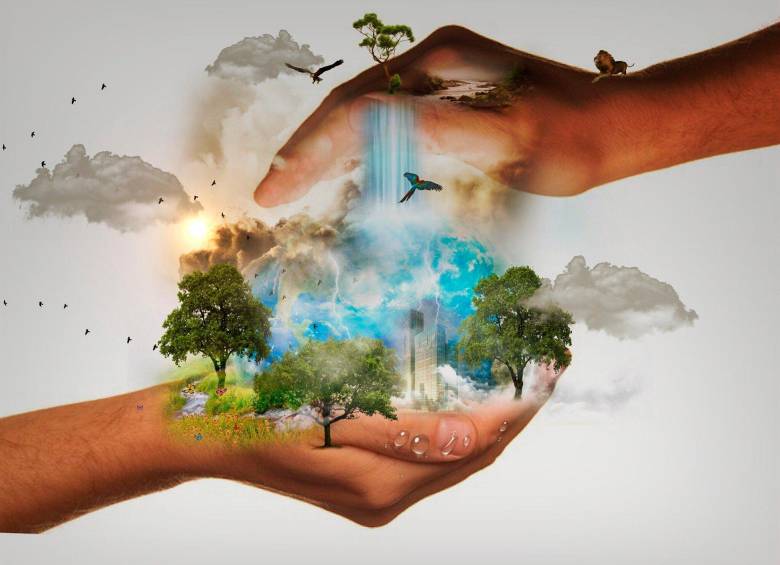 Las acciones individuales sí le ayudan al planeta porque se vuelven esfuerzos coordinados. Foto: Mystic Art Design en Pixabay 