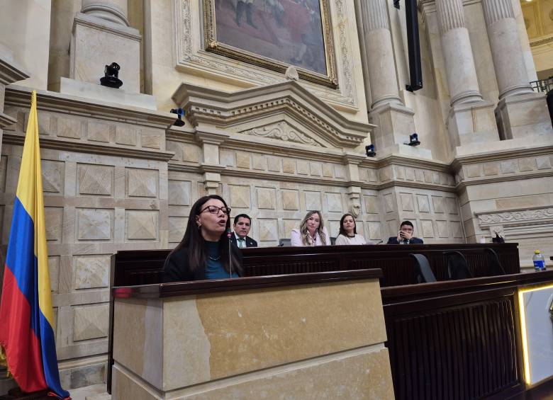 La directora (e) de la Agencia para la Reincorporación y la Normalización, Carolina Vergara. Foto: Redes sociales ARN