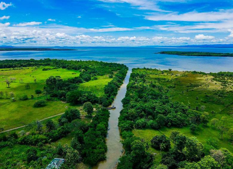 El proyecto fue concebido como una terminal que tendrá un muelle de 35.000 metros cuadrados y un canal navegable de 16 metros de profundidad y 5.700 metros de largo. FOTO: CORTESÍA