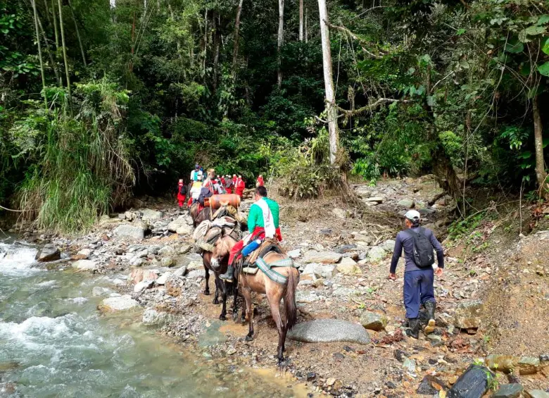 Nueve horas de camino en mula distancia al resguardo de Jaidukamá del corregimiento de La Granja. FOTO adán domicó