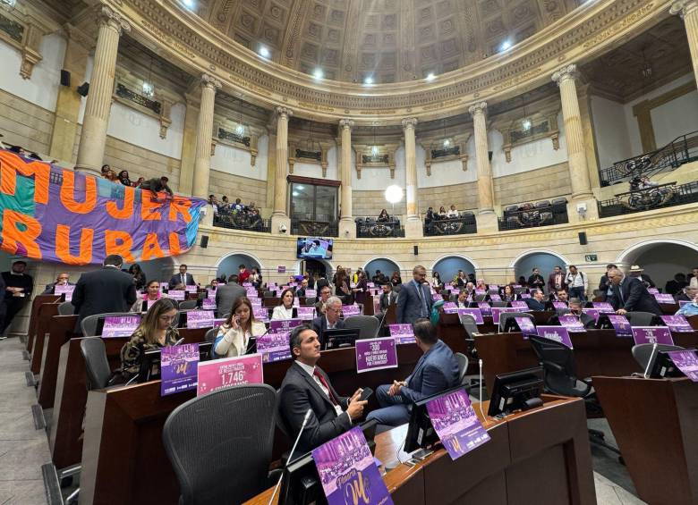 Recientemente se celebró en el Congreso una Plenaria de la Mujer, donde se discutieron leyes a favor de las mujeres en Colombia. Foto: Congreso.