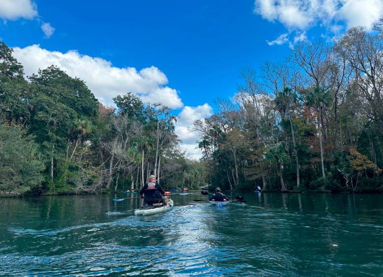 Aventuras acuáticas en Crystal River y el condado de Citrus