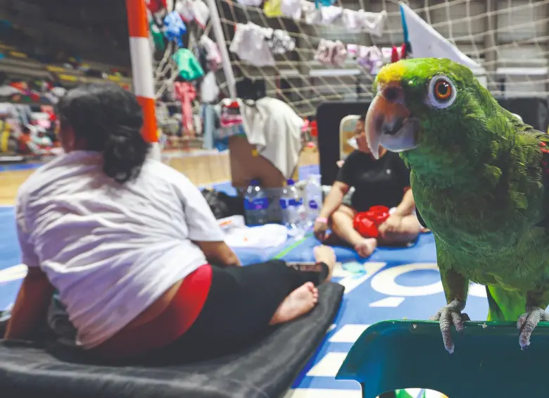 La Alcaldía de Montería atiende a 6.086 personas en alojamientos temporales y ha censado a 35.676 personas de zona rural y urbana. FOTO manuel saldarriaga