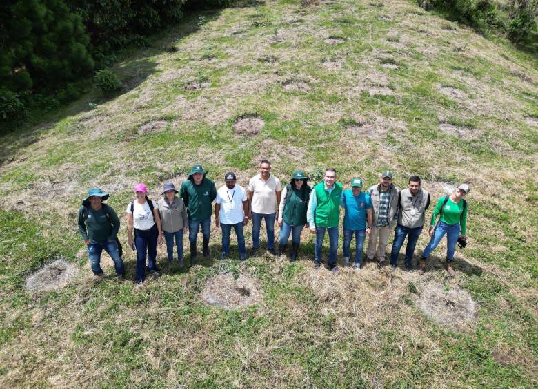 Esperan sembrar más de 214.000 árboles nativos. FOTO: CORTESÍA GOBERNACIÓN