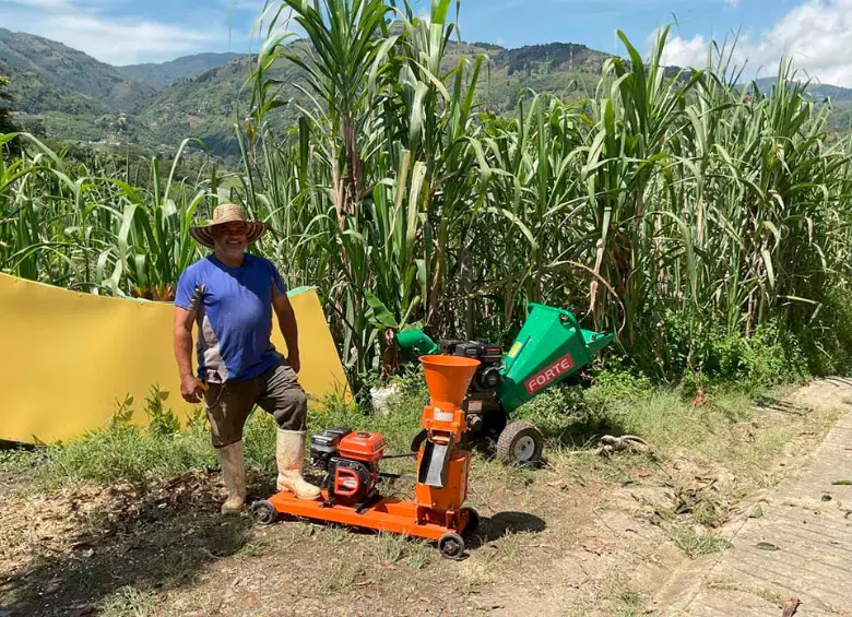 La ruralidad en Medellín desaparece a pasos agigantados. Los pocos productores que quedan tienen dificultades para insertarse en los circuitos de comercialización. FOTO: CORTESÍA