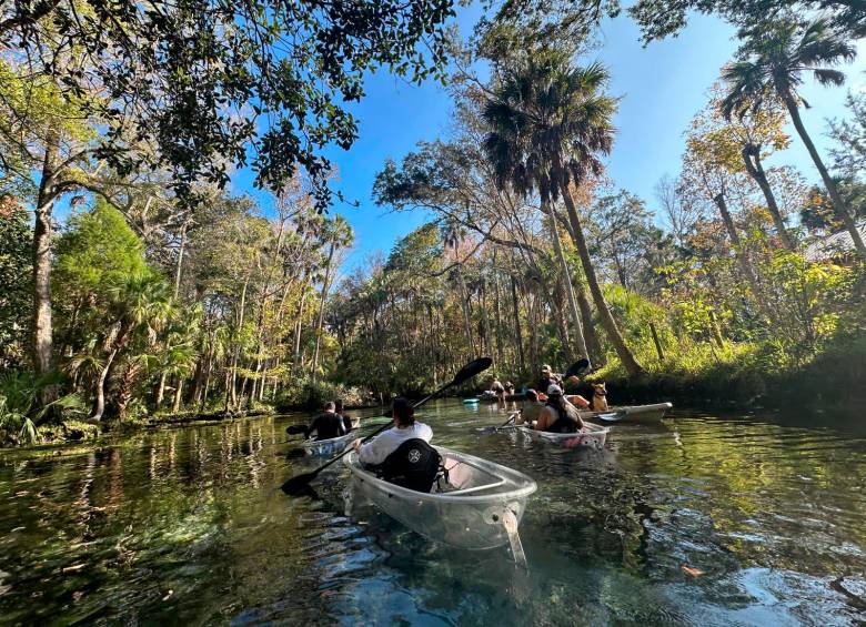 Recorrido en kayak por los meandros del río Chassahowitzka. Foto: Nelson Matta.