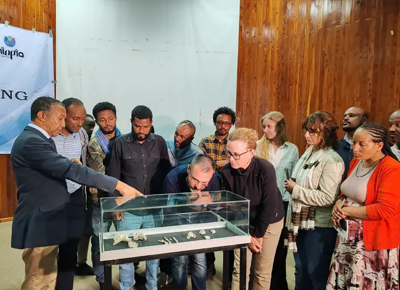 Un pie fósil reescribe la historia: descubren que dos especies humanas convivieron hace 3,4 millones de años