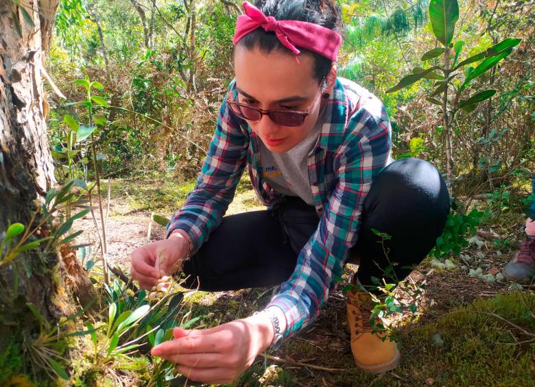 Yesenia Madrigal recolectando plantas para sus investigaciones. Foto: Cortesía 