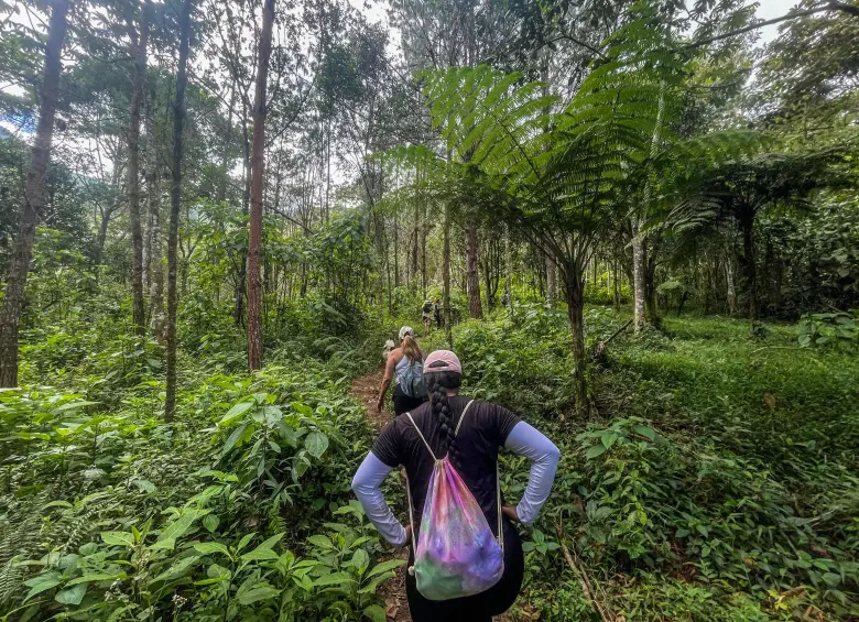 Caminantes. Foto: Cristina Rodriguez.