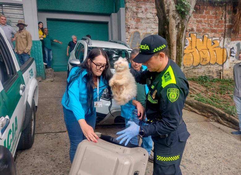 Durante el operativo, en total fueron rescatados 12 perros y 5 gatos. FOTO: CORTESÍA POLICÍA