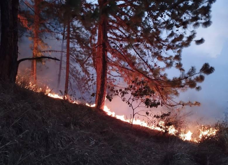 Uno de los incendios se registró en el sector de Machado, en el municipio de Bello. FOTO: ALCALDÍA DE BELLO