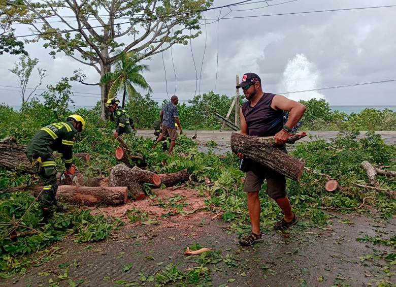 La comunidad, junto a la Policía, realizan labores de remoción de árboles para poderse mover por la isla. FOTO: CORTESÍA POLICÍA