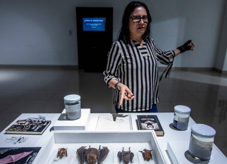 Danny Zurc, es bióloga de la Universidad de Antioquia. Allí mismo cursó una maestría y un doctorado también en biología. A lo largo de su carrera se ha enfocado en el trabajo con murciélagos. FOTO Julio César Herrera. 