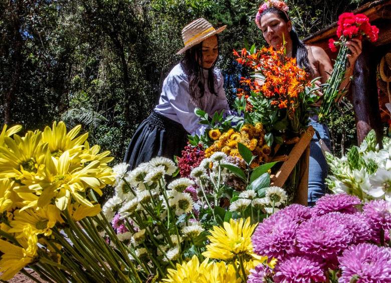 Claudia Vanegas (izquierda) enseña a una visitante los secretos de las silletas de flores. Foto: Julio César Herrera.