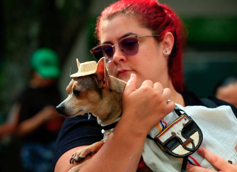 Este tradicional encuentro, uno de los más queridos dentro de la programación ferial, reunió a cientos de familias y sus adoradas mascotas en un recorrido lleno de alegría, color y un profundo mensaje de bienestar animal. Foto: Camilo Suárez Echeverry