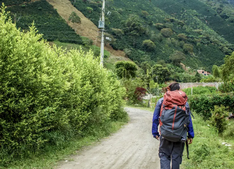 Tapartó espera sin prisa. Entre cafetales, río y montaña. Foto: Cristina Rodríguez.