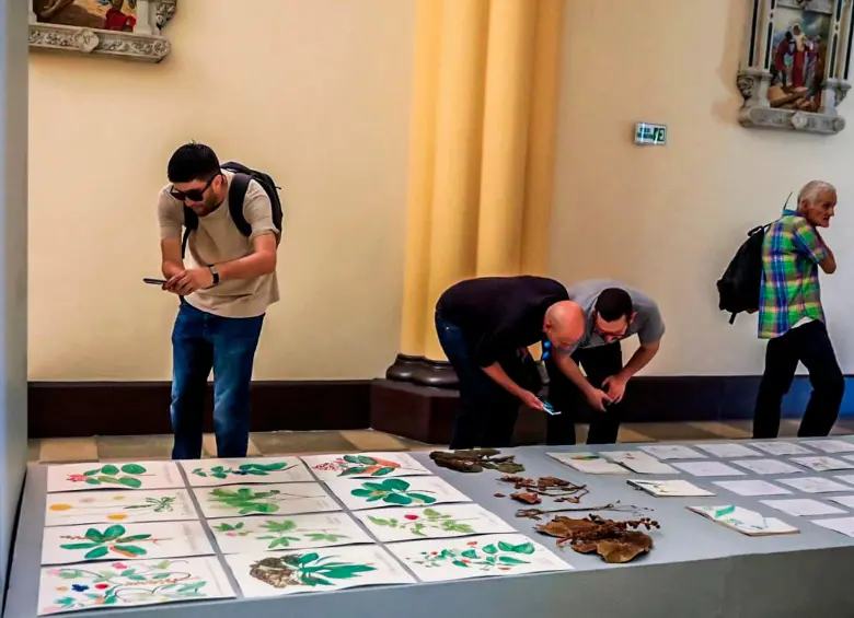Hasta mediados de noviembre se podrá ver la obra de Daniela en la Iglesia del Perpetuo Socorro. En total son 14 ilustraciones suyas las que hacen parte de la BIAM. FOTO Camilo Suárez