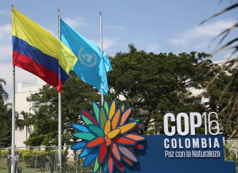 Bandera de la ONU ya ondea en la zona azul de la COP16. El lugar fue entregado a la organización, que estará a cargo de su seguridad. FOTO: Colprensa.