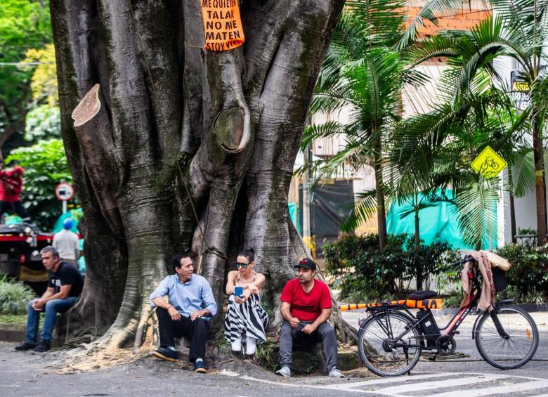 Algunos ciudadanos decidieron sentarse alrededor del árbol como una forma de protegerlo desu tala. FOTO: Julio Herrera