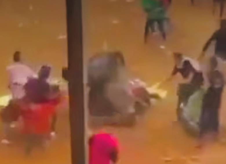 El caballo sufrió heridas luego de ser corneado por un toro. Murió en el lugar. FOTO: CORTESÍA