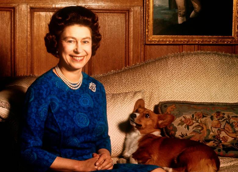 La reina Isabel II de Gran Bretaña sonríe radiantemente durante una sesión de fotos en el salón de Sandringham House en Norfolk. Uno de sus corgis la mira. FOTO: GETTY