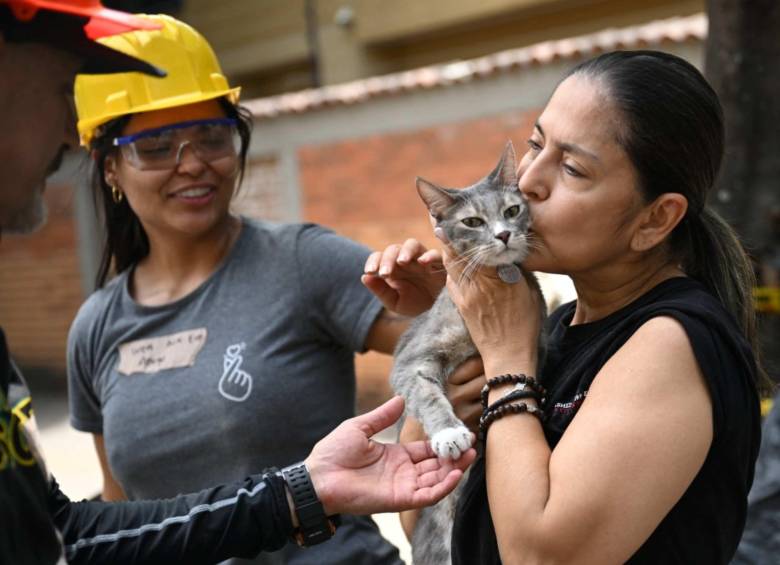 Los terremotos de Chile y Japón que dejan aprendizajes para Colombia. FOTO: AFP