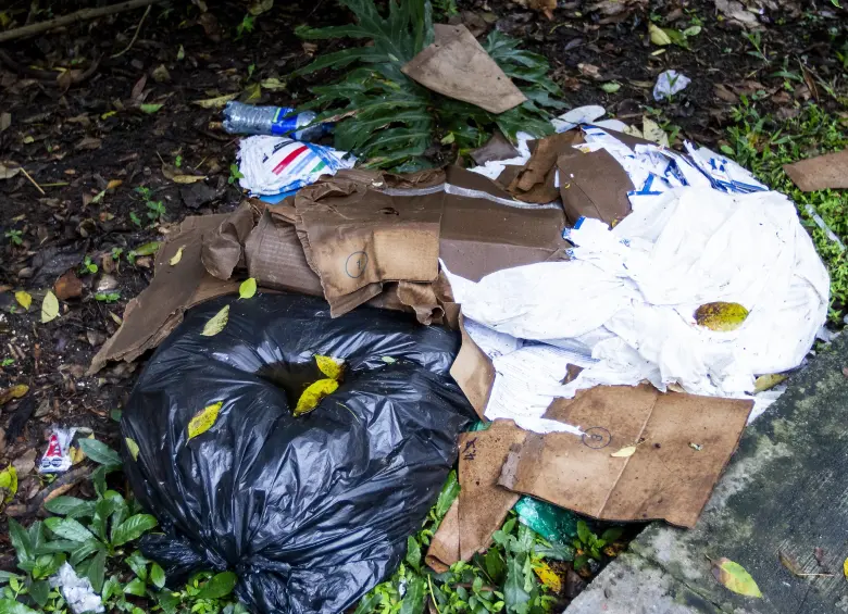 ¿Qué hacemos con la quebrada La Presidenta en El Poblado? La alerta está desde hace 19 años
