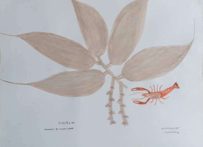 Abel Rodríguez es uno de los artistas modernos que conversan con los dibujos de hace 207 años. Fotos: cortesía Jardín Botánico de Medellín.