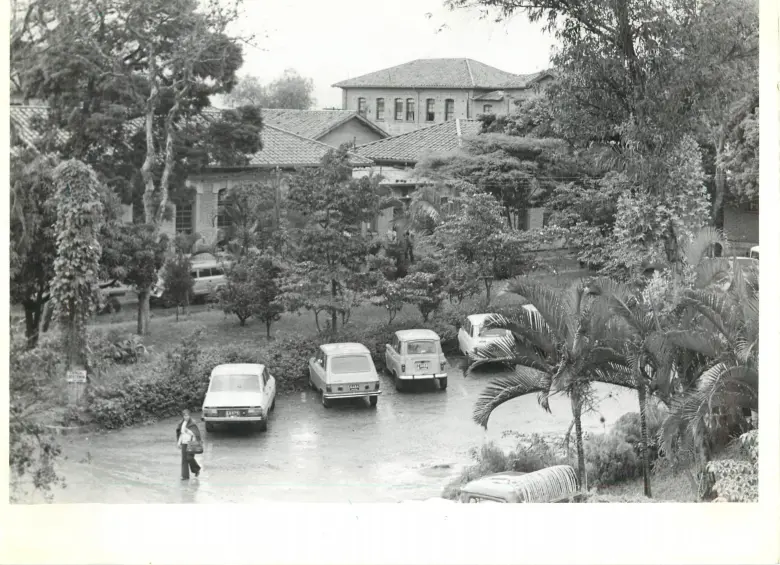 Las arboledas del San Vicente Fundación hace unos cuarenta años. FOTO: Jorge Zuleta.