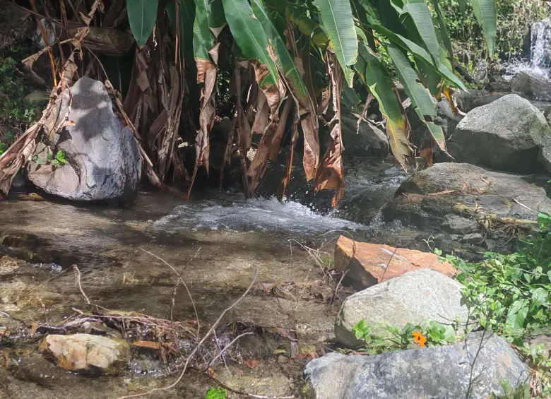 Para los próximos meses se proyectan lluvias alrededor de un 30 % por debajo de los promedios históricos en gran parte de Antioquia. Foto: Cortesía