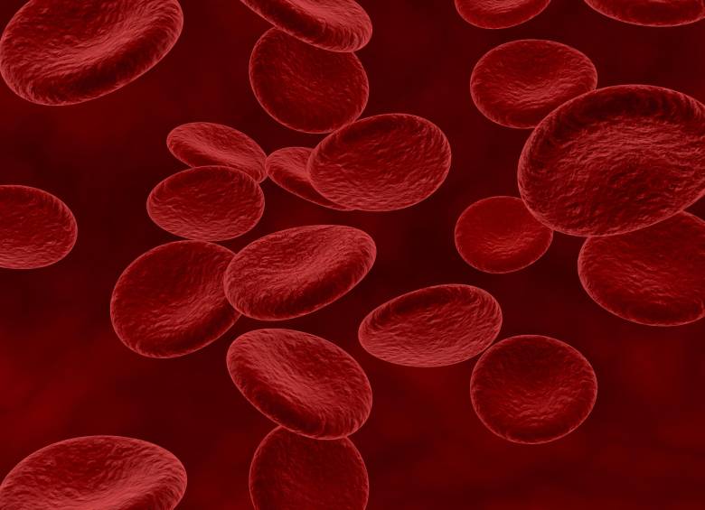 La hemofilia es un trastorno genético que impide que la sangre coagule de manera adecuada. FOTO: Freepik.