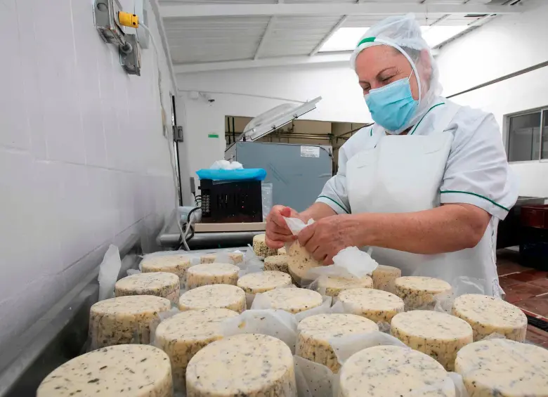 Así se produce el queso en Lácteos Buena Vista. FOTO Esneyder Gutiérrez