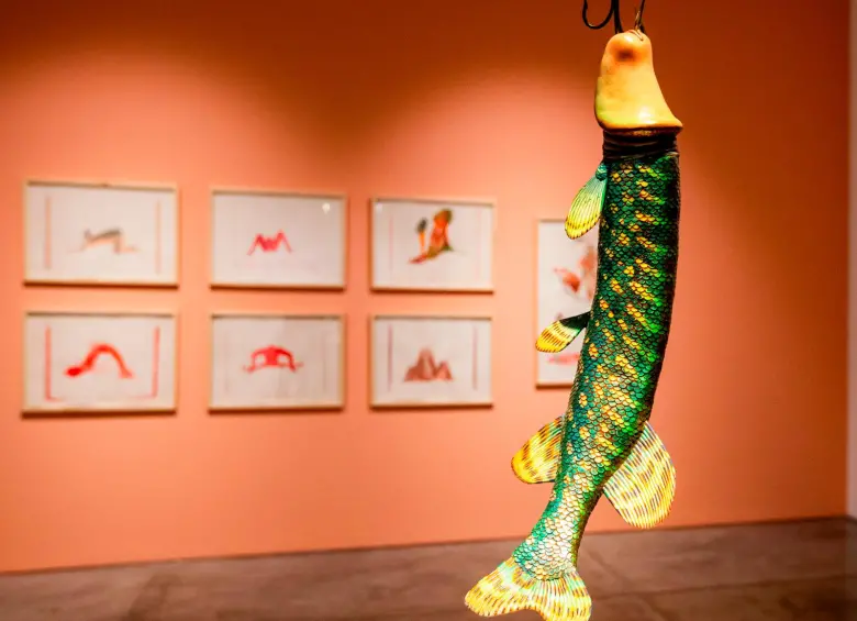 El Mamm estrena tres exposiciones para pensar la relación del cuerpo y el territorio 