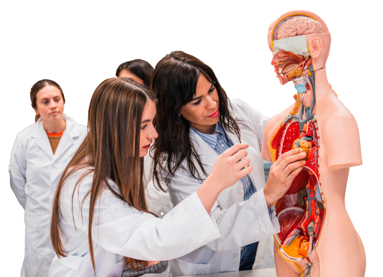 El costo de una especialización médica en una universidad privada de Colombia puede llegar hasta los $40 millones el semestre. El examen de admisión tiene un costo aparte. FOTO GETTY