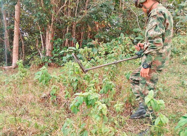El Ejército Nacional encontró dos minas antipersonal y una carga de explosivos en Chocó. Foto: Ejército Nacional. 