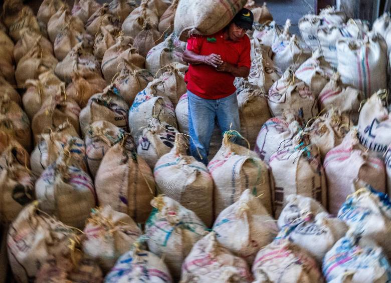 Sectores del agro con vocación exportadora alertan del impacto por la caída del precio del dólar. FOTO Julio César Herrera
