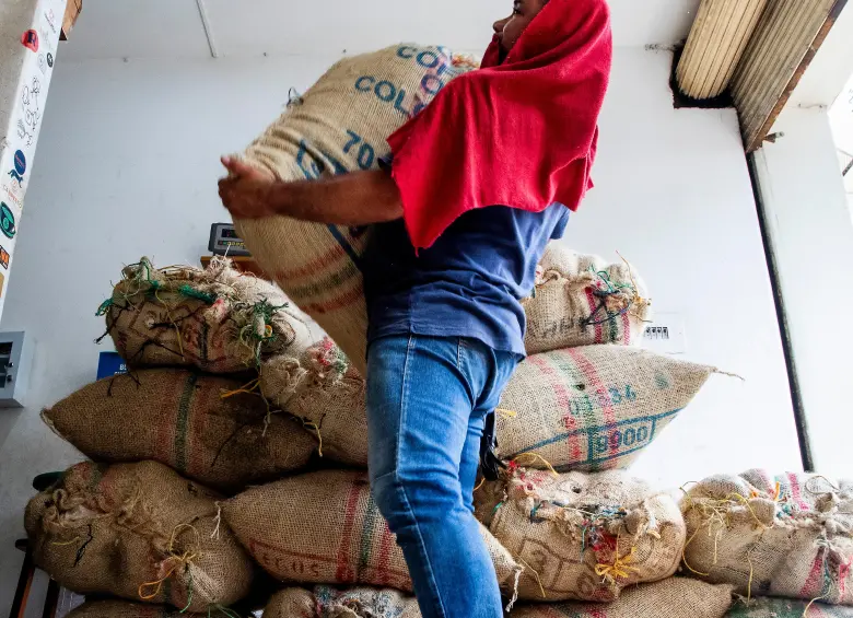 La Federación de Cafeteros anticipa una producción de 6,2 millones de sacos en el primer semestre de este año. FOTO Julio César Herrera