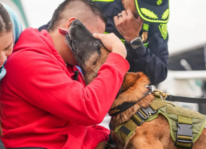 Video | El emotivo reencuentro entre patrullero herido y el perro Telmo tras ataque a helicóptero en Amalfi, Antioquia