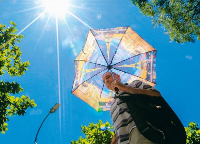 El territorio debe convertirse en el líder regional que lleva la IA al consumidor. FOTO: Archivo