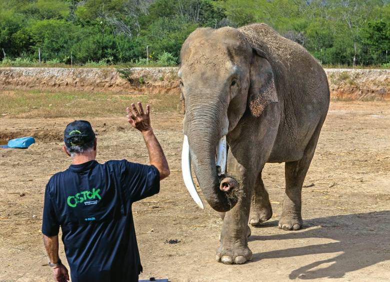 Eduardo Zazueta es el director del Santuario Ostok. Recientemente fue el encargado de trasladar 700 animales en México. FOTO GETTY
