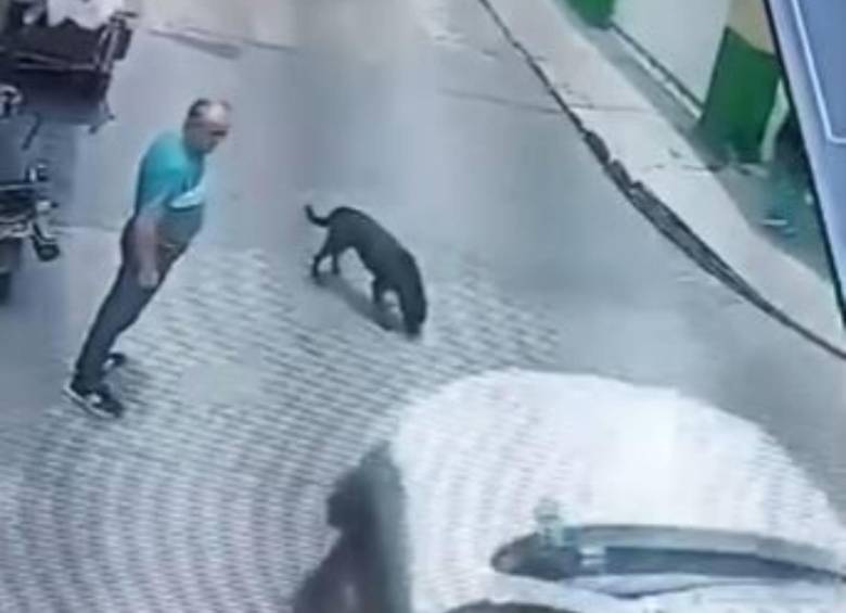 Instantes antes de que la camioneta atropellara al perrito en Sonson. FOTO: Cortesía.