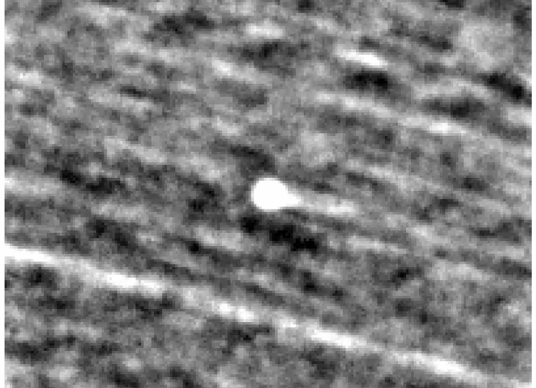 Misión PUNCH de la Nasa | El cometa 3I/ATLAS se ve como un objeto brillante cerca del centro de esta imagen, hecha a partir de la combinación de observaciones de la misión PUNCH de la Nasa efectuadas del 20 de septiembre al 3 de octubre de 2025, cuando el cometa estaba a una distancia de entre 371 millones y 378 millones de kilómetros (entre 231 millones y 235 millones de millas) de la Tierra. Su cola se ve como una prolongación corta a la derecha. Las estrellas se ven como rayas en el fondo. FOTO Nasa e Instituto de Investigación del Sudoeste