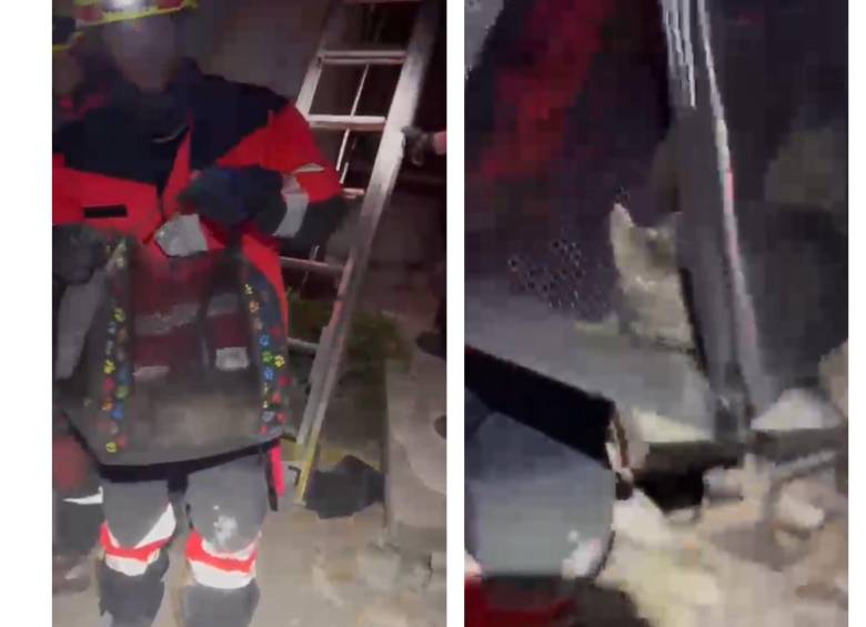 El gato fue rescatado por los bomberos de Medellín en el segundo piso de una vivienda parcialmente colapsada en Pereira. Foto: Cortesía