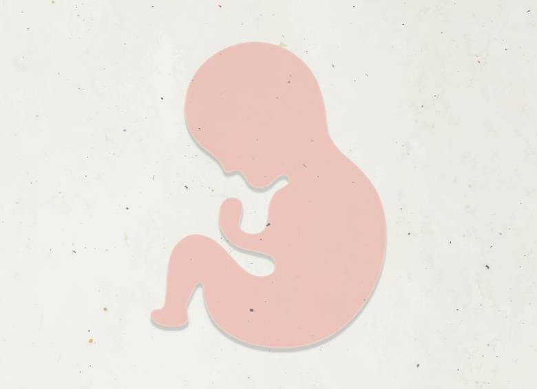 Estos estudios ayudarían a entender mejor la causa de los abortos espontáneos en los primeros días del embarazo. Imagen de referencia. FOTO: Freepik.es