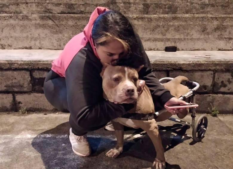 Alexandra Ramírez, líder de Canes Guerreros, acoge caninos de raza especial, la que casi nadie adopta y la que más abandonan. Contacto: 3042167913 FOTO cortesía
