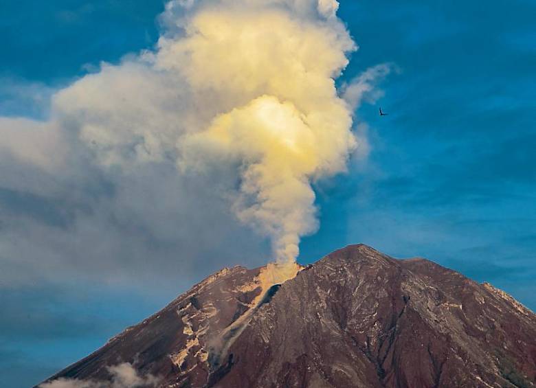 2021: un año activo para los volcanes